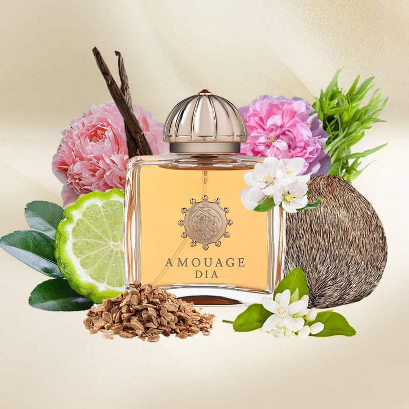% Amouage Dia Woman EDP 100ml Perfume for Women