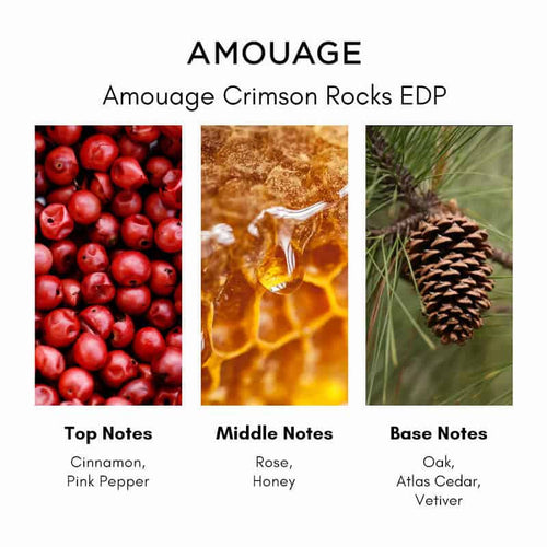 % Amouage Crimson Rocks EDP 100ml Perfume for Men & Women